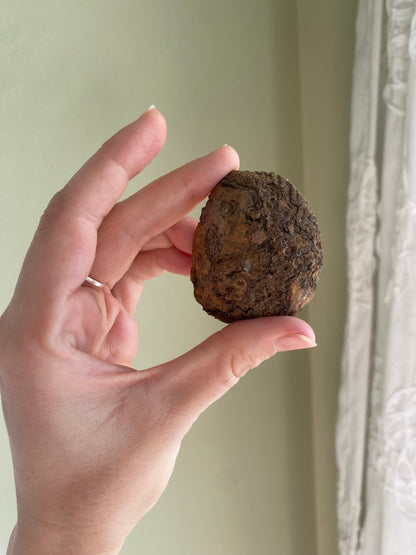 Coyamito Agate