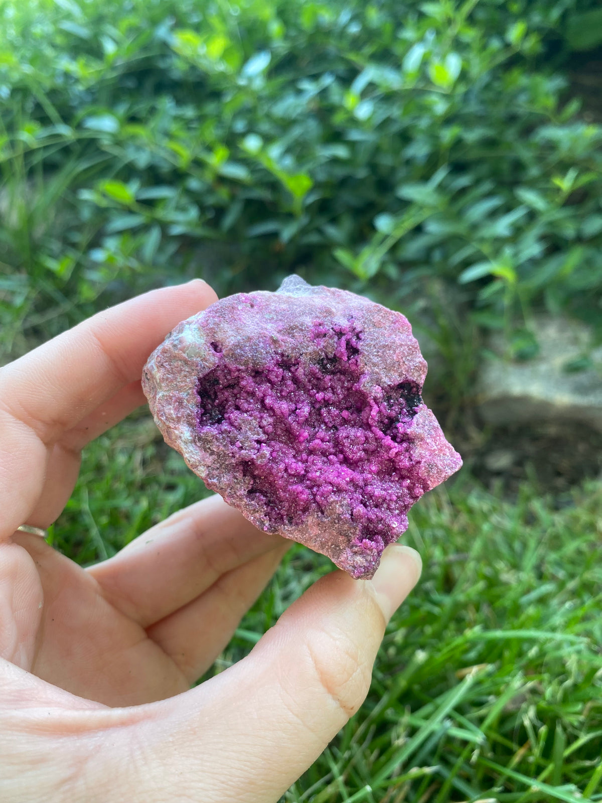 Raw Druzy Pink Cobalto Calcite on Rock Matrix