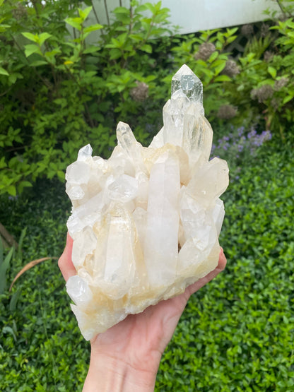 Large Rare Colombian Golden Lemurian Quartz Cluster