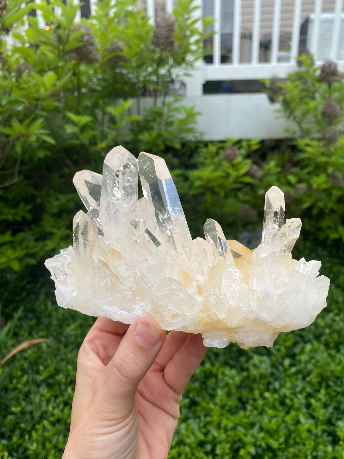 Colombian Golden Lemurian Quartz Cluster