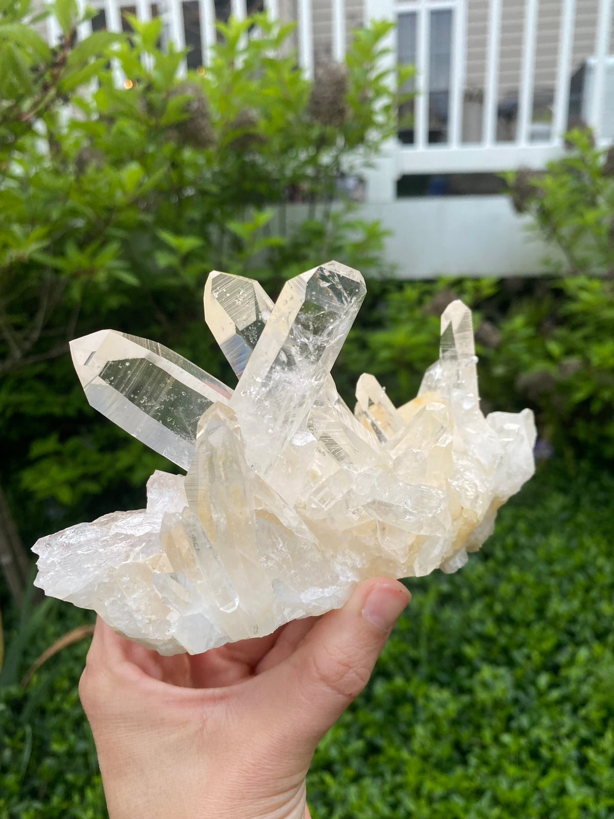 Colombian Golden Lemurian Quartz Cluster