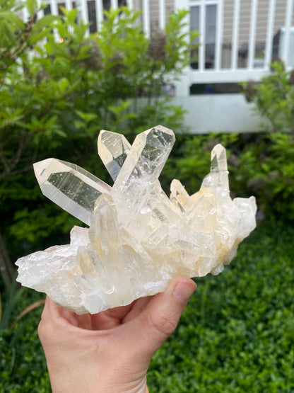 Colombian Golden Lemurian Quartz Cluster