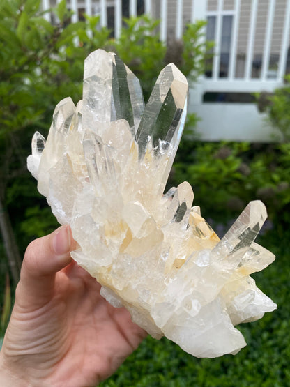 Colombian Golden Lemurian Quartz Cluster