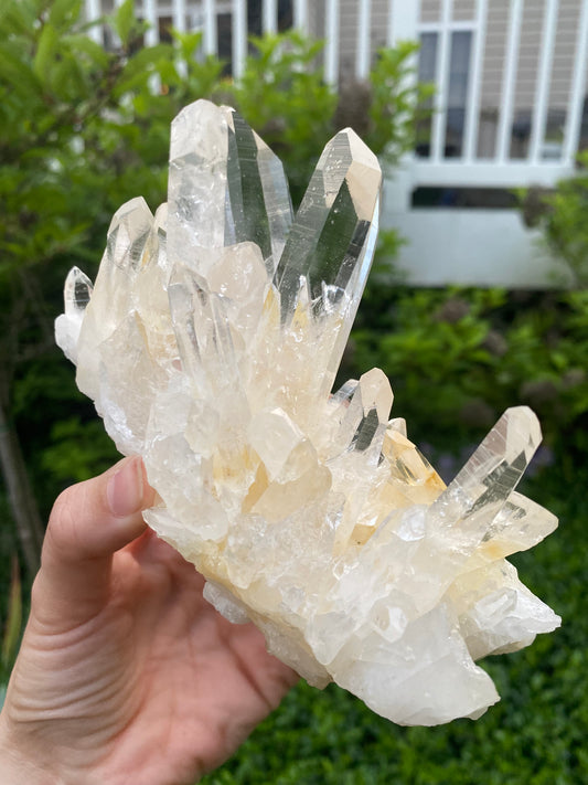 Colombian Golden Lemurian Quartz Cluster